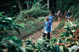 BIB: 
                            <button type="button" onclick="openModal(25850524)" class="btn btn-primary btn-sm float-right btn-popup" data-toggle="modal" data-target=".modal-high-quality">
                        <i class="fas fa-shopping-cart"></i> Add to Cart
                    </button>
                                            <button type="button" onclick="isThisMe(25850524, true)" class="btn btn-success btn-sm float-right btn-popup btn-isme hidden" data-toggle="tooltip" data-placement="bottom" title="นี่คือรูปของคุณใช่ไหม คลิกที่นี่เพื่อเอาเข้าอัลบั้ม">
                        <i class="fas fa-plus"></i> Add to album
                    </button>
                    <button type="button" onclick="isThisMe(25850524, false)" class="btn btn-warning btn-sm float-right btn-popup btn-isnotme hidden">
                        <i class="fas fa-ban"></i> Remove from album
                    </button>